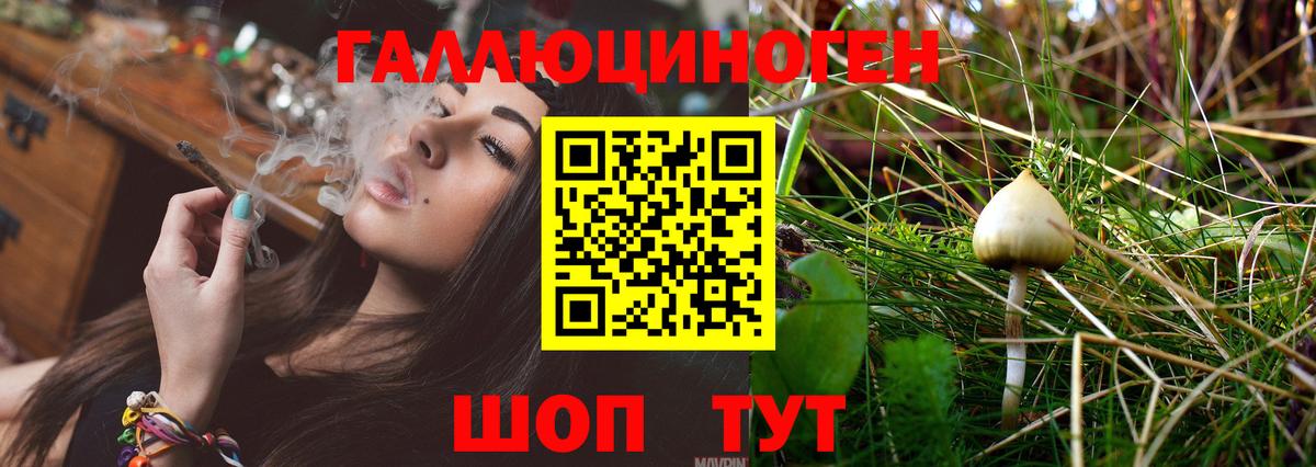 Муром  Галлюциногенные грибы Cubensis  Галлюциногенные грибы GOLDEN TEACHER  Вход с VPN 