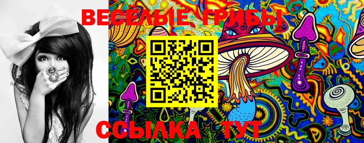 Псилоцибиновые грибы Cubensis Муром